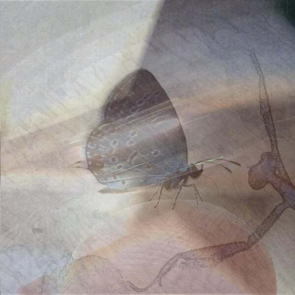Cover art for Bonne Nuit